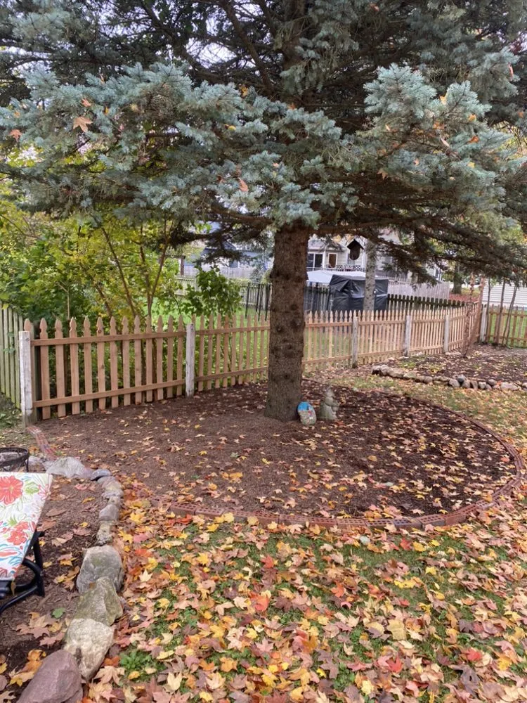 Slide of Extra Mile Mike