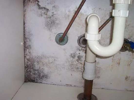 Slide of EZ Angel's Plumbing