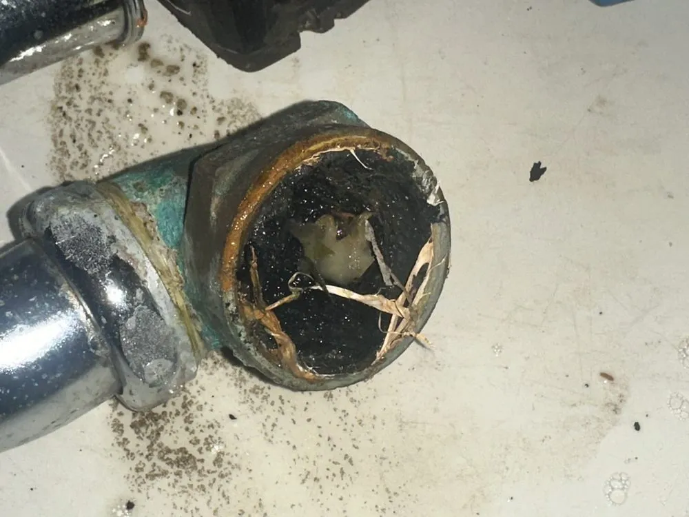 Slide of EZ Roth Plumbing