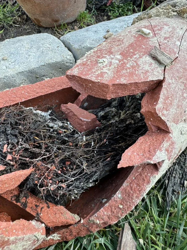 Slide of EZ Sewers Rooter and Plumbing