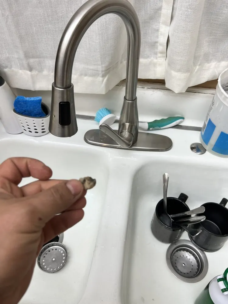 Affordable emergency plumbing in San Fernando Valley, CA by EZPLUMBING