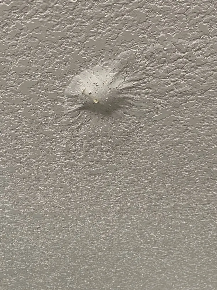 Slide of F6 Plumbing