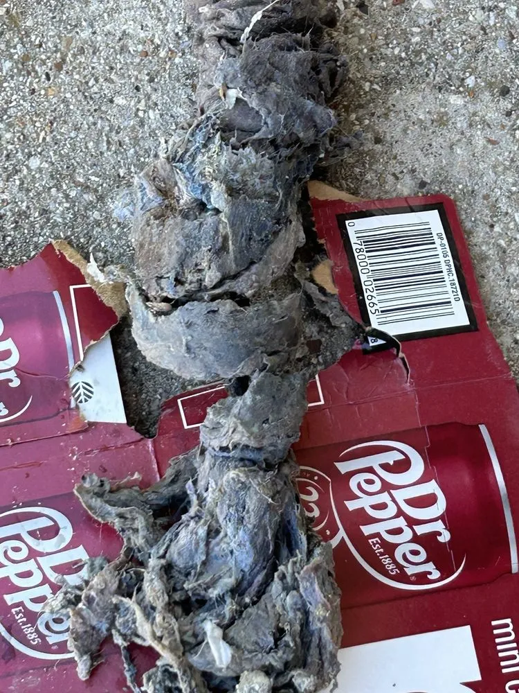 Slide of F6 Plumbing