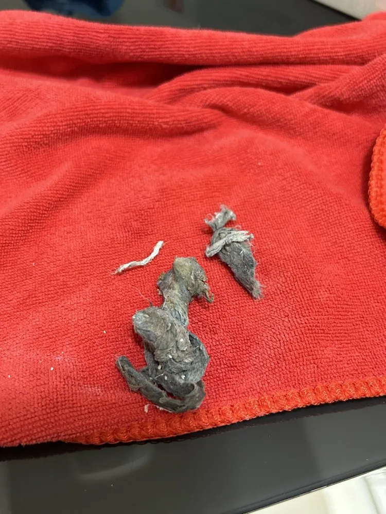 Slide of F6 Plumbing