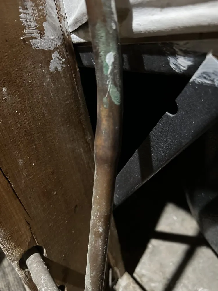 Slide of Face and Dream