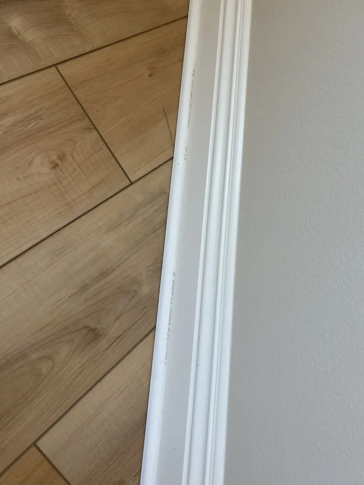 Slide of Face and Dream