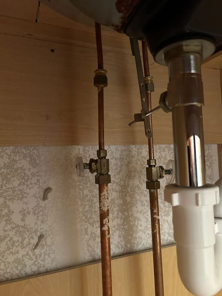 Slide of Face and Dream