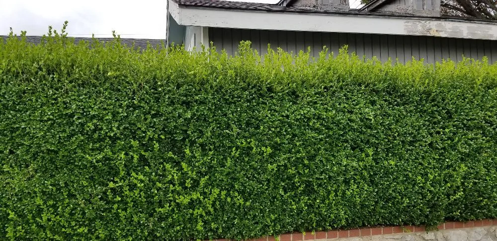 Slide of Fair Lawn Care Solutions