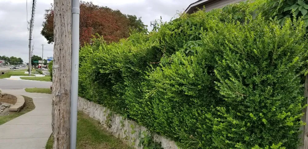 Slide of Fair Lawn Care Solutions