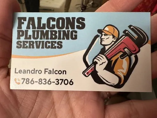 Falcons Plumbing Services Logo