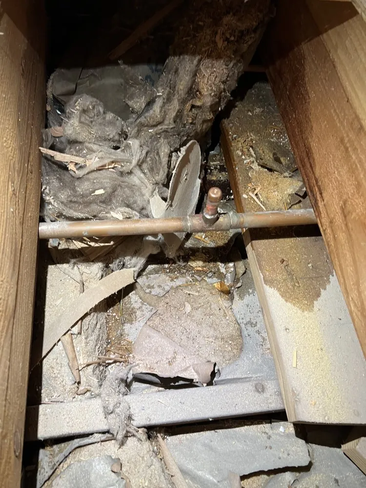 Slide of Family Drain Cleaning