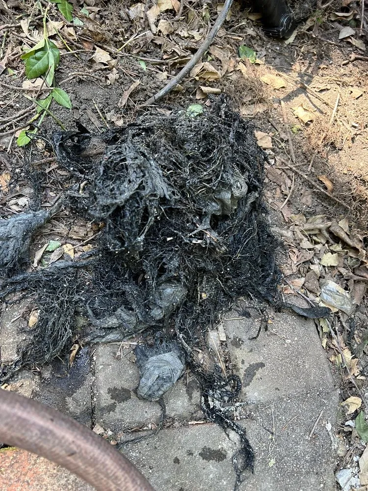 Slide of Family Rooter Drain & Sewer