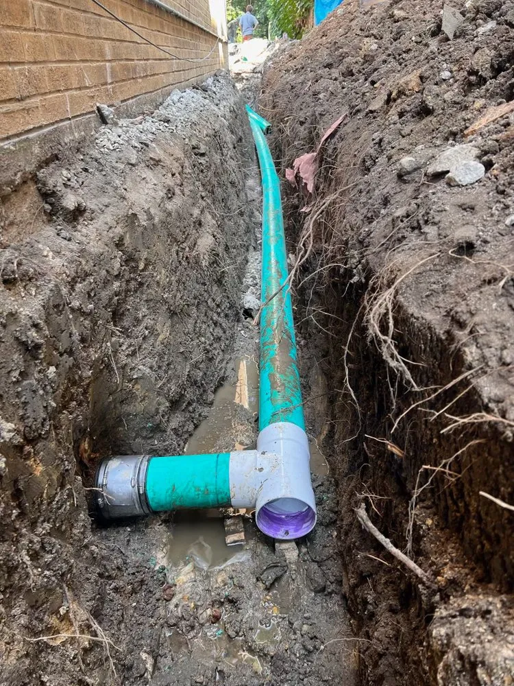 Slide of Family Sewer