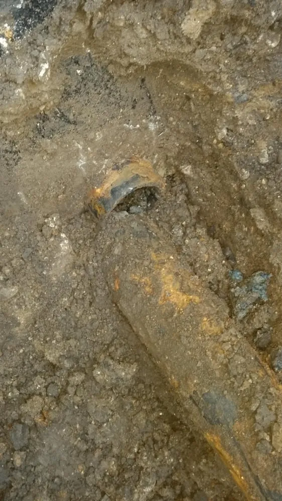 Slide of Family Sewer