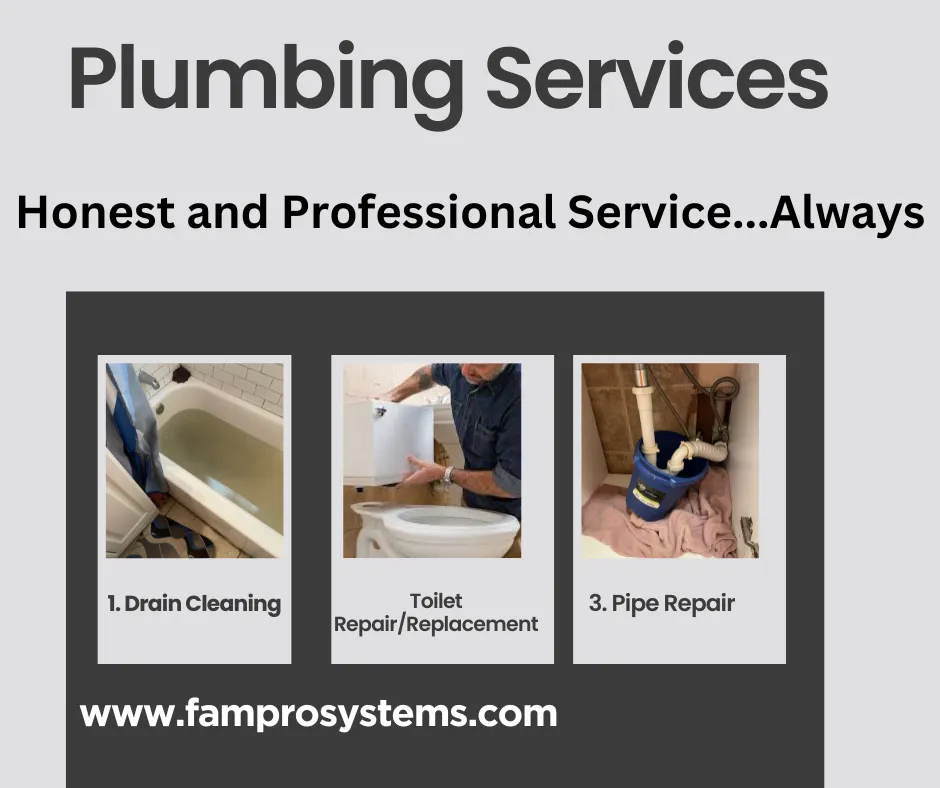 Slide of Fampro Systems