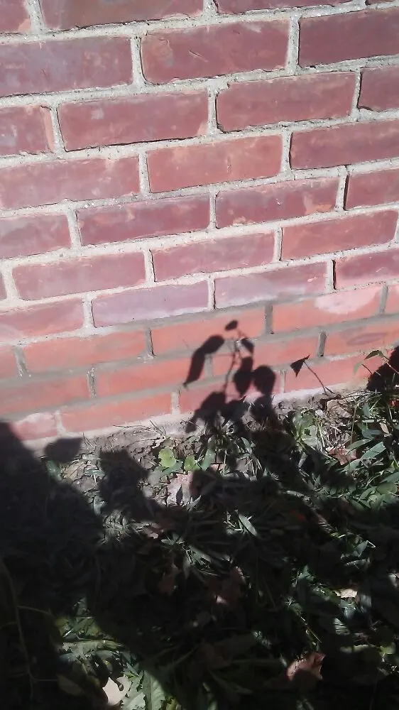 Slide of Farmington Maintenance