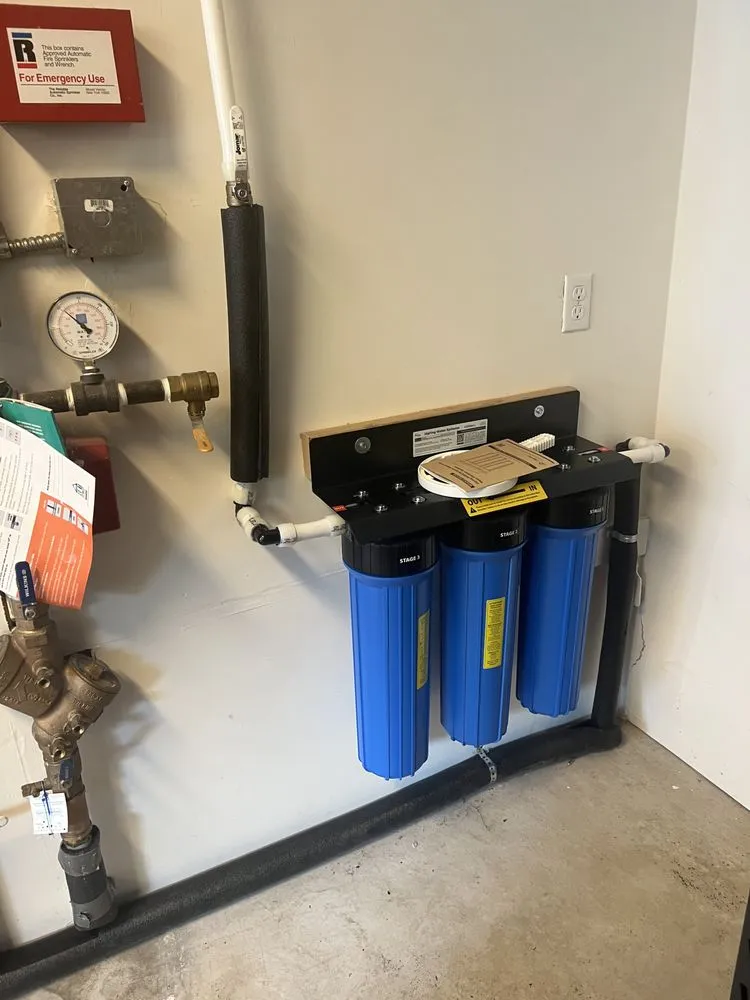 Slide of Fast Rooter