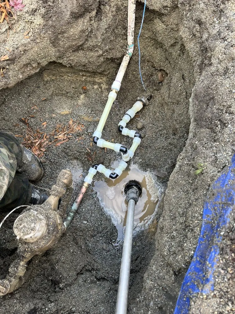 Slide of Fast Rooter