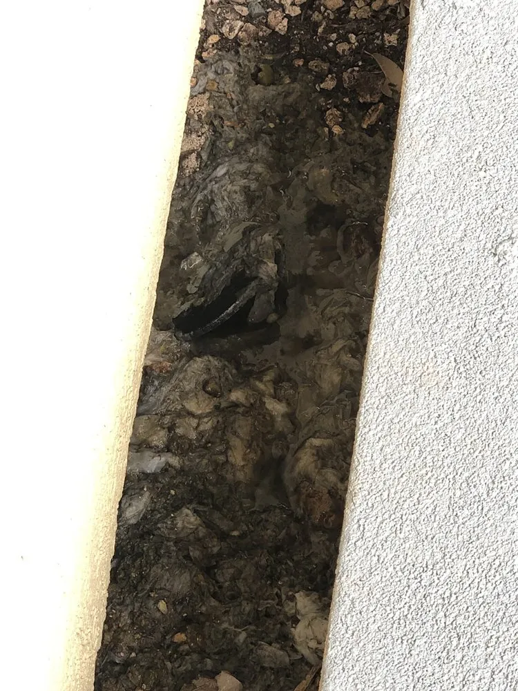 Professional pipe repair experts serving Honolulu, HI - Fast Rooter Plumbing