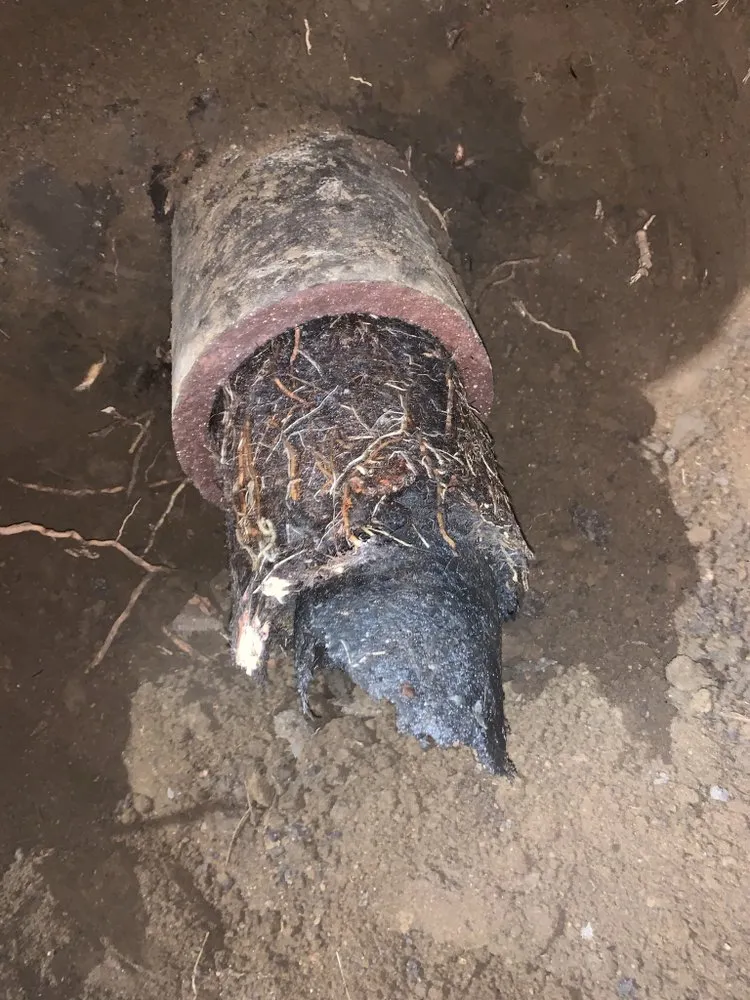 Reliable drain cleaning service in Los Angeles, CA - Fastflow Sewer & Drains