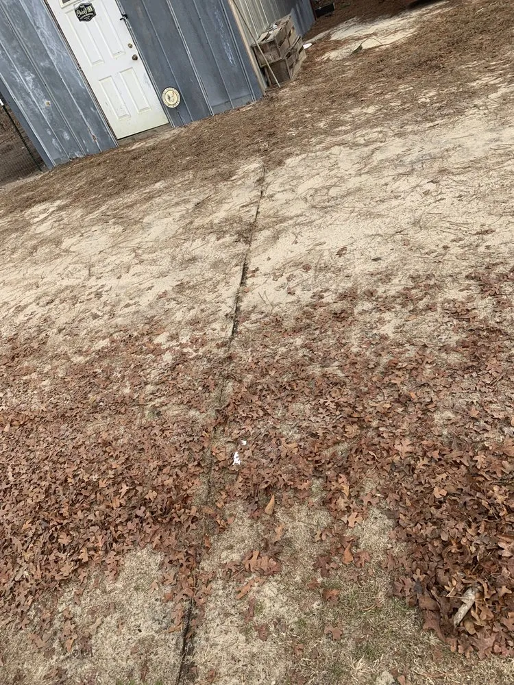 Reliable leak detection service in Wallace, SC - Fatbois Plumbing and Landscaping