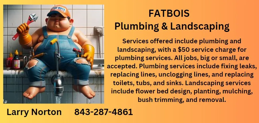Professional water heater service service in Wallace, SC - Fatbois Plumbing and Landscaping