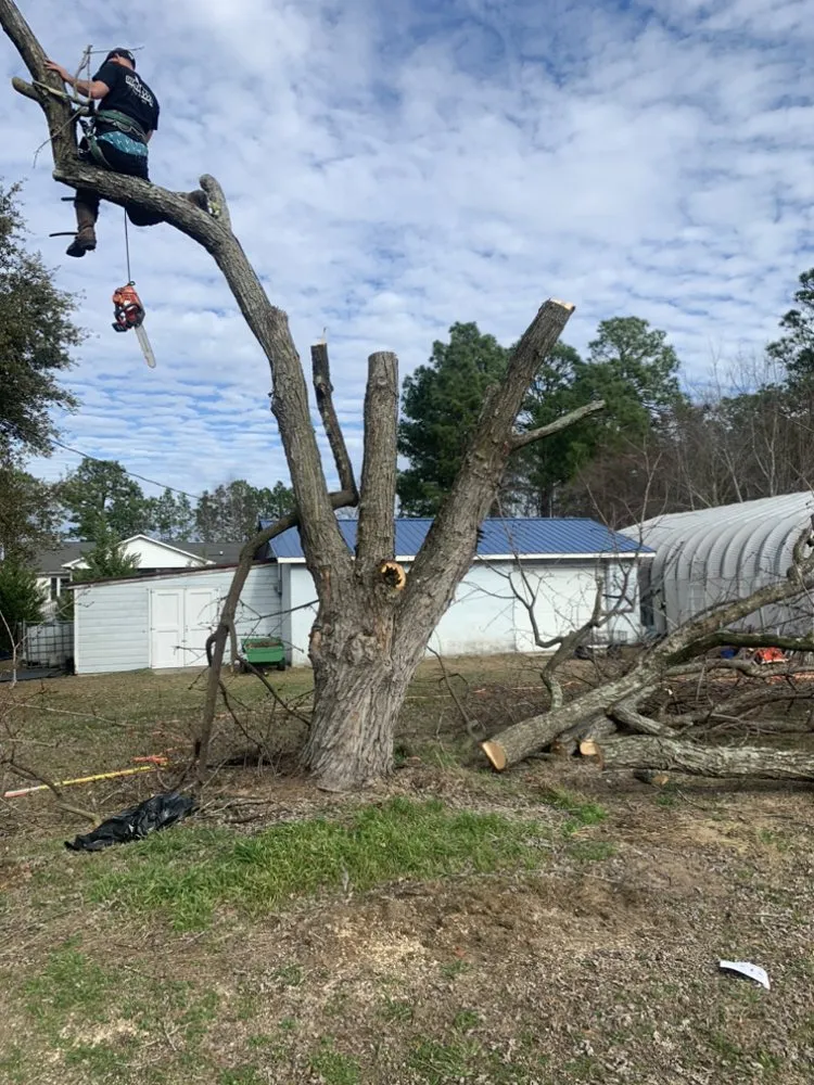 Expert plumbing repair experts serving Wallace, SC - Fatbois Plumbing and Landscaping