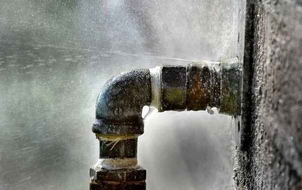 Fauver Leak Detection Logo