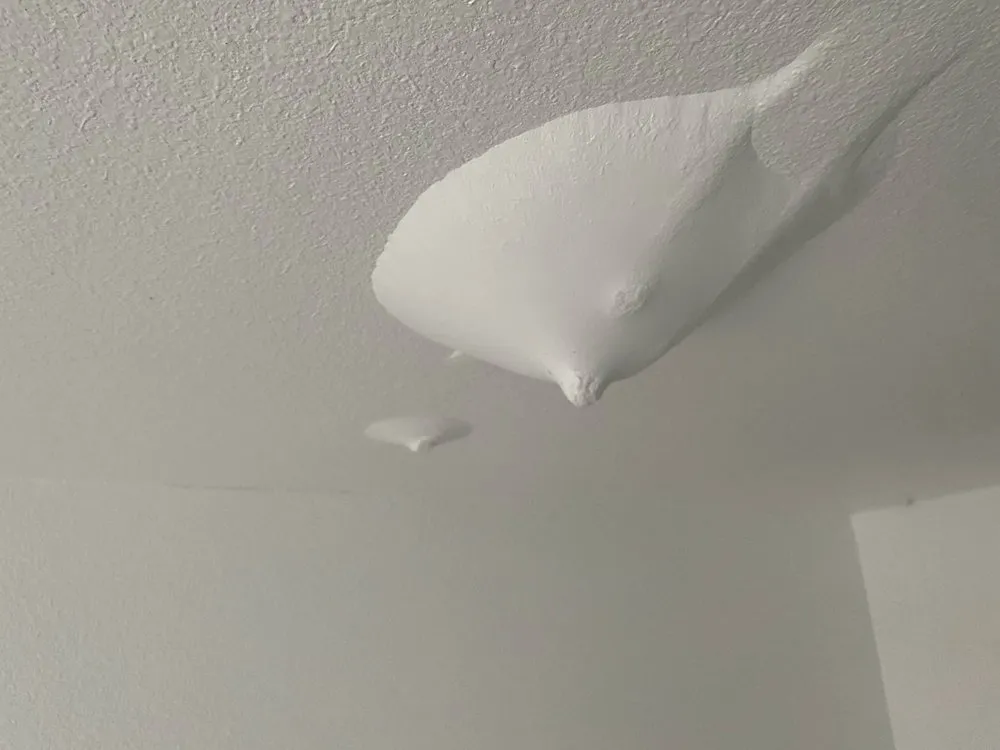 Slide of Fayetteville Plumbing Services