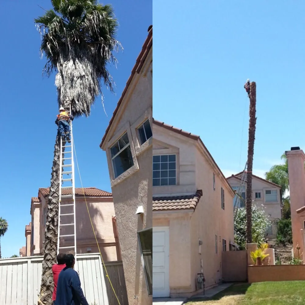 Slide of FD Handyman Services