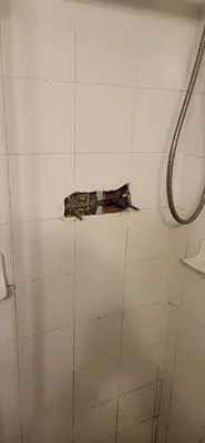 FDL Plumbing Services Logo