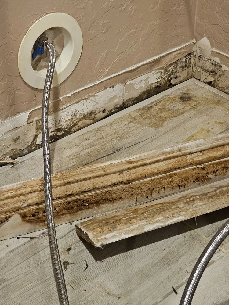 Top-rated drain cleaning for homes in Henderson, NV by FDM Restoration & Construction