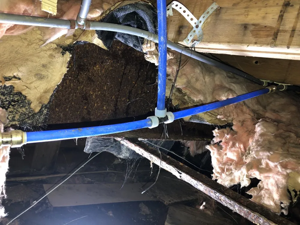 Slide of Fen-Mor Plumbing and Rooter