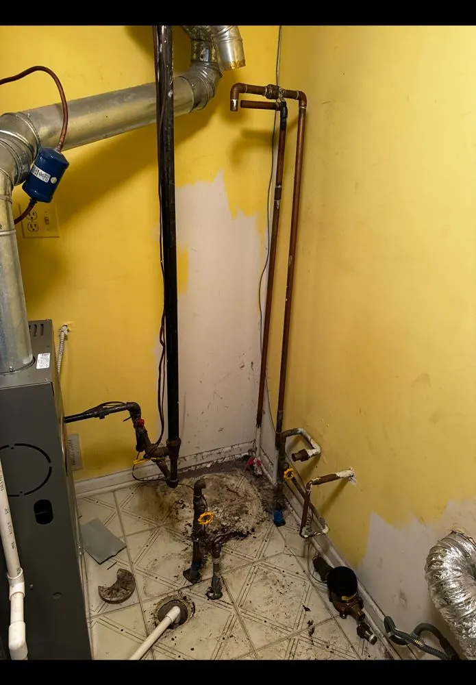 Slide of Fergie’s Services