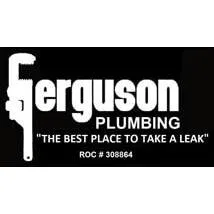 Slide of Ferguson Plumbing