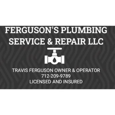 Ferguson Plumbing Service and Repair