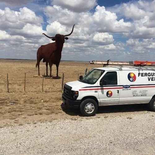 Slide of Ferguson Veresh