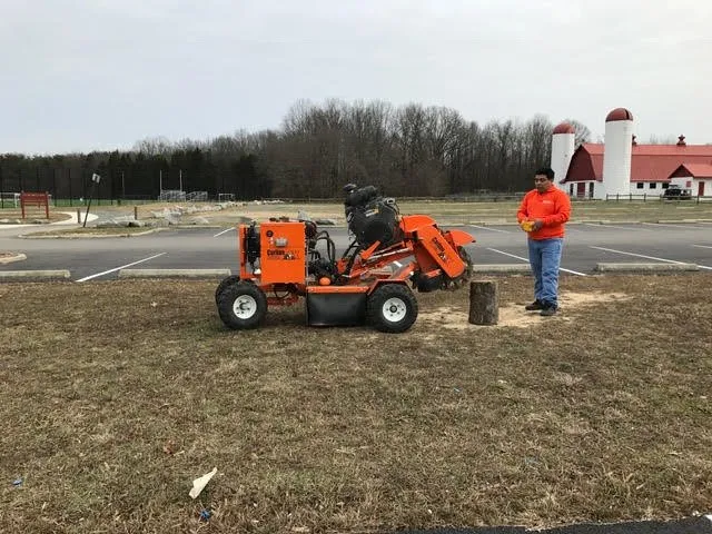 Slide of Fernando Landscaping