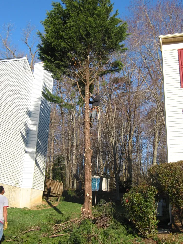 Slide of Fernando Landscaping