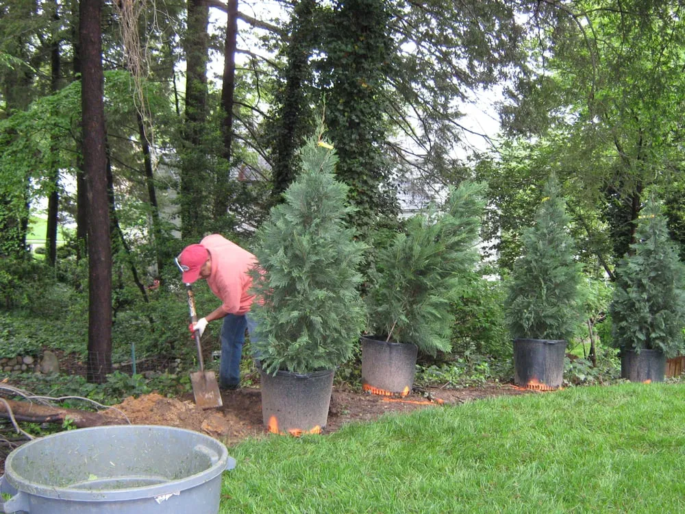 Quality leak detection in Alexandria, VA by Fernando Landscaping