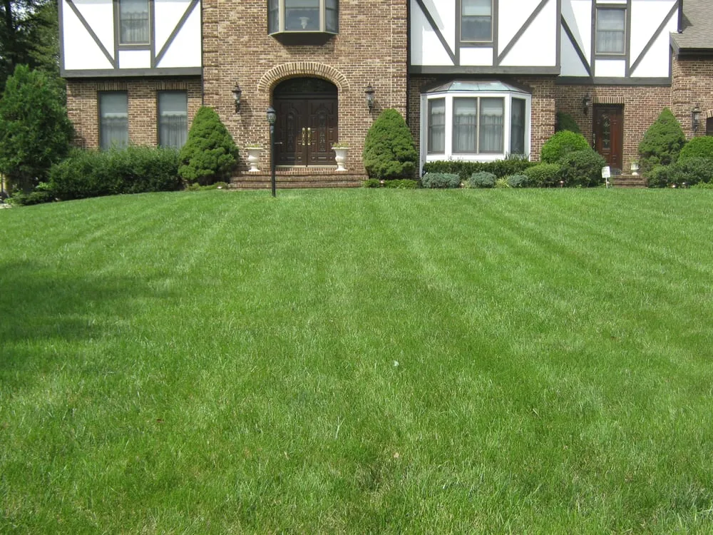 Trusted leak detection service in Alexandria, VA - Fernando Landscaping