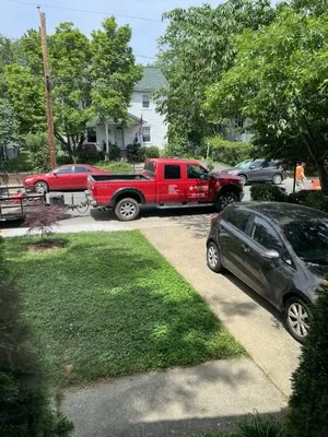 Fernando Landscaping Logo