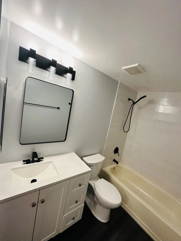 Slide of Ferry’s Construction