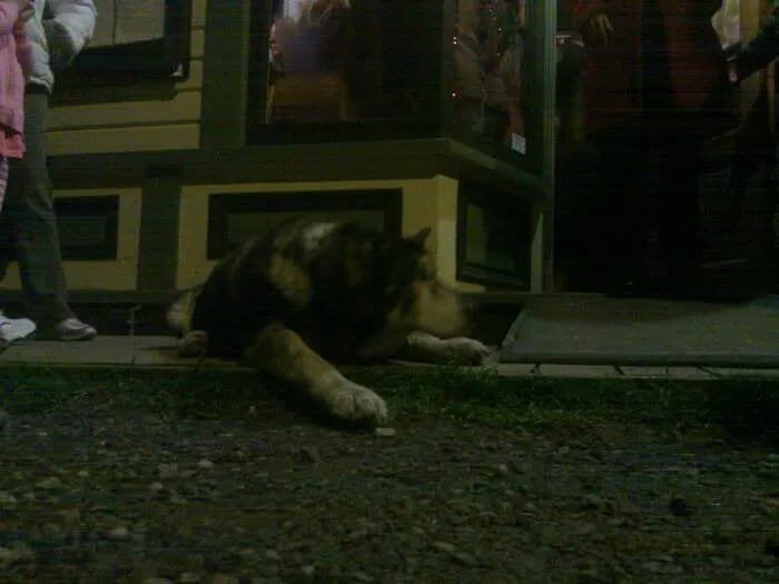 Slide of Fertig & Gordon Co