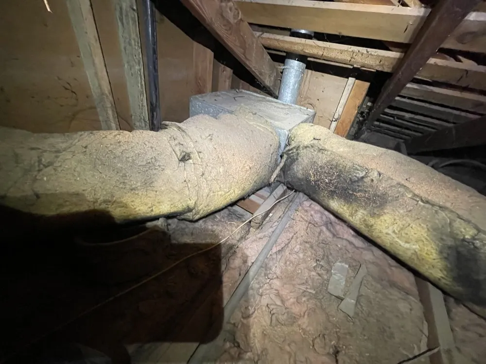 Slide of Fetch a Tech