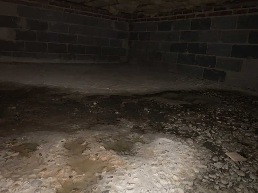 Quality drain cleaning service in Manassas, VA - F.H. Furr Plumbing, Heating, Cooling & Electrical