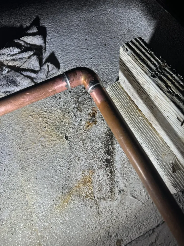 Slide of Fierce Plumbing