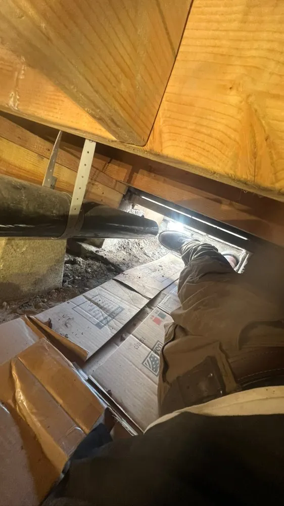 Slide of Fig's Plumbing & Drains