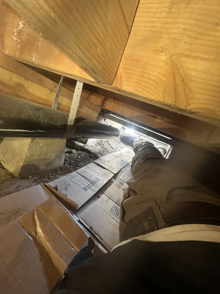 Affordable emergency plumbing experts serving Los Angeles, CA - Fig's Plumbing & Drains