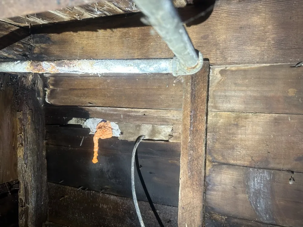 Slide of Fig's Plumbing